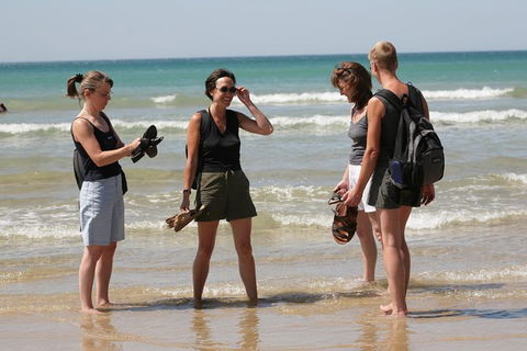 Great Ocean Road Small-Group Ecotour From Melbourne - Attractions Sydney 34