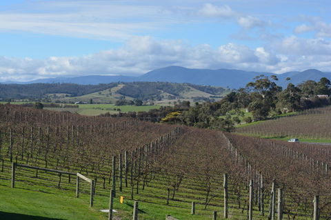 2-Day Yarra Valley Wine Tour With Luxury Vineyard Resort Stay - Attractions Sydney 2
