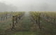 2-Day Yarra Valley Wine Tour With Luxury Vineyard Resort Stay - thumb 11