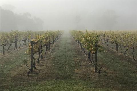 2-Day Yarra Valley Wine Tour With Luxury Vineyard Resort Stay - Attractions Sydney 11
