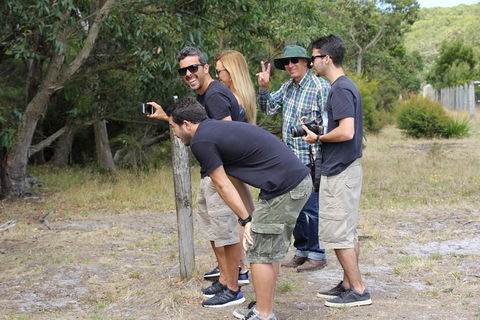 Small-Group Great Ocean Road Day Trip From Melbourne - Attractions Sydney 10