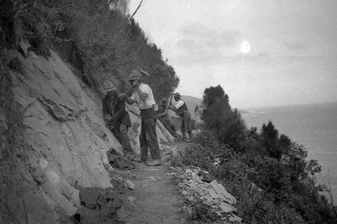 Great Ocean Road Private Tour - Attractions Sydney 8