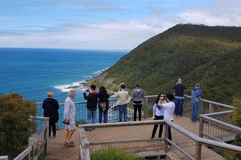 2 Day Great Ocean Road Tour From Melbourne - Attractions Sydney 16