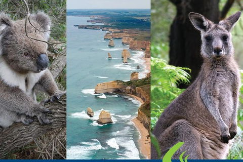 2 Day Great Ocean Road Tour From Melbourne - Attractions Sydney 15