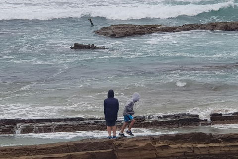 2 Day Great Ocean Road Tour From Melbourne - Attractions Sydney 4