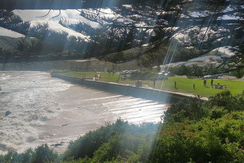 2 Day Great Ocean Road Tour From Melbourne - Attractions Sydney 20