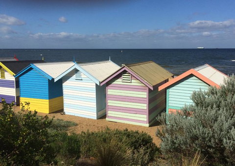 Half-Day Or Full-Day Tour With Private Guide From Melbourne - Attractions Sydney 2
