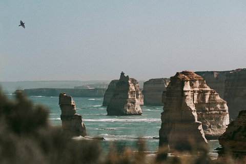 Half-Day Or Full-Day Tour With Private Guide From Melbourne - Attractions Sydney 10
