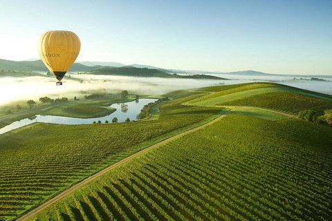 Half-Day Or Full-Day Tour With Private Guide From Melbourne - Attractions Sydney 7