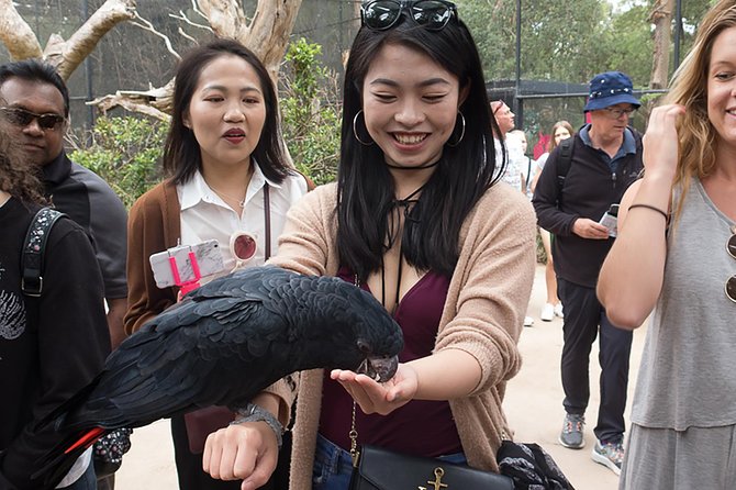  Attractions Sydney