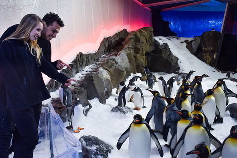 Penguin Passport At SEA LIFE Melbourne Aquarium - Attractions Sydney 0