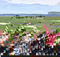 Alternative Yarra Valley Wine Tasting Tour Departing from Melbourne - Attractions Sydney