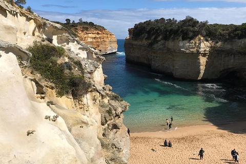 Great Ocean Road Reverse Itinerary PREMIUM Tour - Attractions Sydney 3
