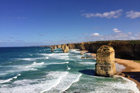 Great Ocean Road Reverse Itinerary PREMIUM Tour - Attractions Sydney 2