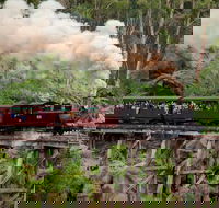 Melbourne Combo Great Ocean Road Puffing Billy Moonlit Sanctuary  Penguins - Attractions Sydney