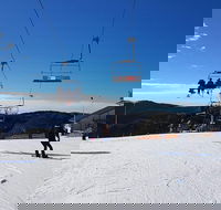 Mt. Buller Ski Tour from Melbourne - Attractions Sydney
