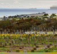 Bellarine Peninsula Small Group Wine Tour with 2 Course Lunch and Morning Tea - Attractions Sydney