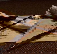 Alchemy I - The Final Run - Attractions Sydney