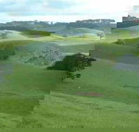 Day Tour of Phillip Island  Surrounding Region - Attractions Sydney