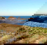 Phillip Island Walking  Bird Watching Tour - Attractions Sydney