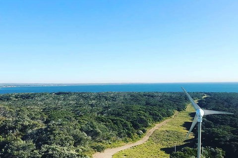 Hiking & Hot Springs On The Mornington Peninsula - Attractions Sydney 1