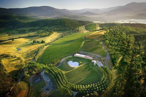 Yarra Valley - Wineries & Gin Distillery Tour - Attractions Sydney 0