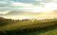 Yarra Valley Private Tour Including Healesville Sanctuary And Wineries - thumb 0