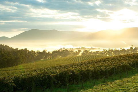 Yarra Valley Private Tour Including Healesville Sanctuary And Wineries - Attractions Sydney 0