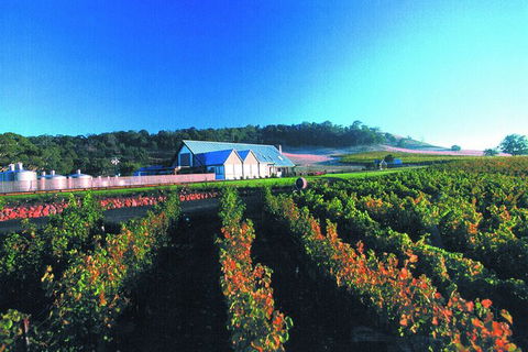 Macedon Ranges Small Group Wine Tour With 2 Course Lunch And Morning Tea - Attractions Sydney 4
