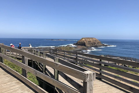Day Tour Of Phillip Island, The Surrounding Region And Wine Tasting - Attractions Sydney 14