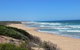 Day Tour Of Phillip Island, The Surrounding Region And Wine Tasting - thumb 5