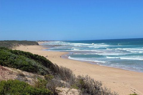 Day Tour Of Phillip Island, The Surrounding Region And Wine Tasting - Attractions Sydney 5