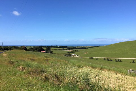Day Tour Of Phillip Island, The Surrounding Region And Wine Tasting - Attractions Sydney 6