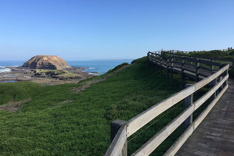 Day Tour Of Phillip Island, The Surrounding Region And Wine Tasting - Attractions Sydney 11