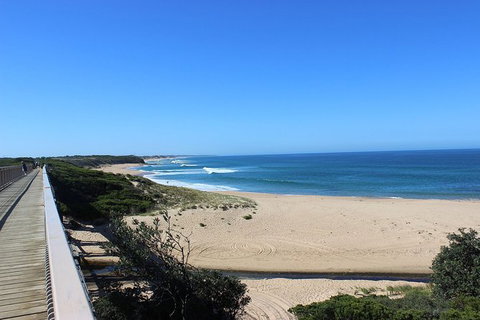 Day Tour Of Phillip Island, The Surrounding Region And Wine Tasting - Attractions Sydney 4