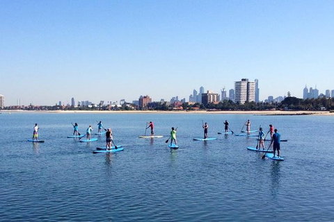 Stand-Up Paddle Board Group Lesson At St Kilda - Attractions Sydney 0