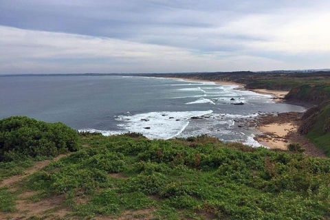 Half Day Phillip Island Woolamai Walking Tour - Attractions Sydney 0
