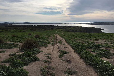 Half Day Phillip Island Woolamai Walking Tour - Attractions Sydney 8