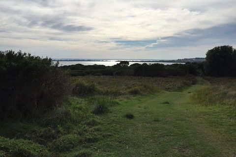 Half Day Phillip Island Woolamai Walking Tour - Attractions Sydney 4