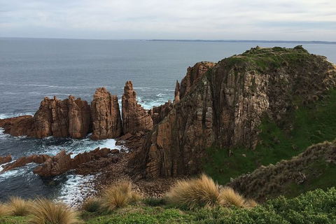 Half Day Phillip Island Woolamai Walking Tour - Attractions Sydney 16