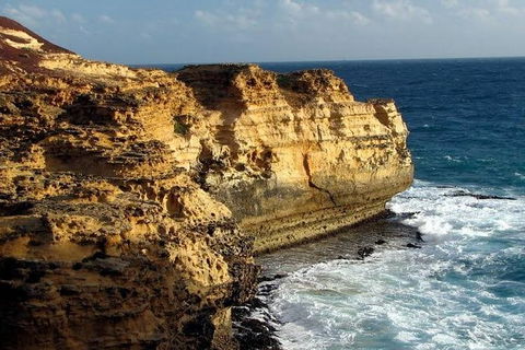 Half Day Phillip Island Woolamai Walking Tour - Attractions Sydney 12