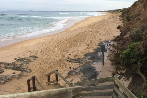 Half Day Phillip Island Woolamai Walking Tour - Attractions Sydney 11