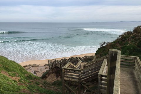 Half Day Phillip Island Woolamai Walking Tour - Attractions Sydney 5