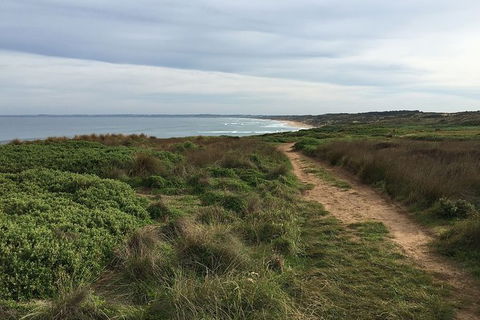 Half Day Phillip Island Woolamai Walking Tour - Attractions Sydney 3