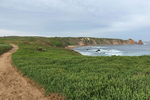 Half Day Phillip Island Woolamai Walking Tour - Attractions Sydney 9