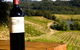 Yarra Valley Unique Experience - thumb 2