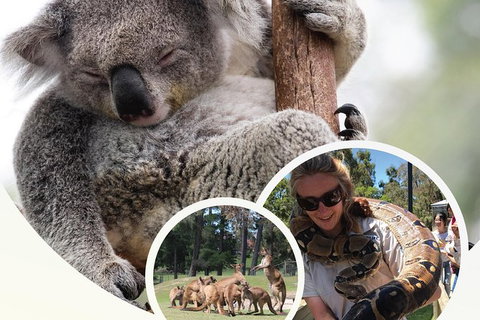 Ballarat Wildlife Park - Attractions Sydney 0