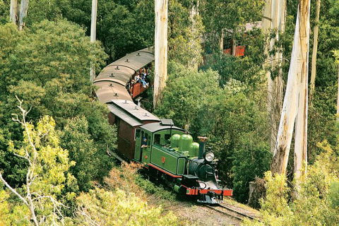 Dandenong Ranges Tour By Puffing Billy Steam Train - Attractions Sydney 1