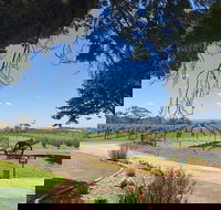 Beautiful Bellarine Discovery by Road to indulgence - Attractions Sydney
