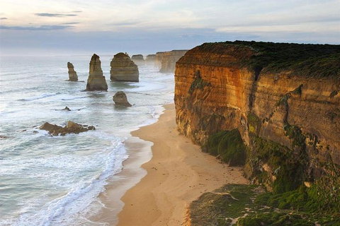 Group Tour: Great Ocean Tour & Twelve Apostles - Attractions Sydney 0